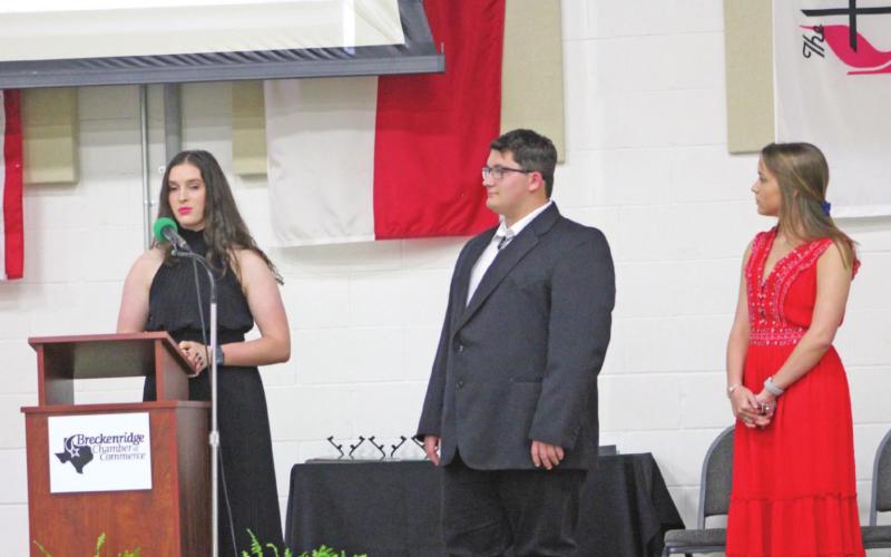 Chamber bestows annual awards