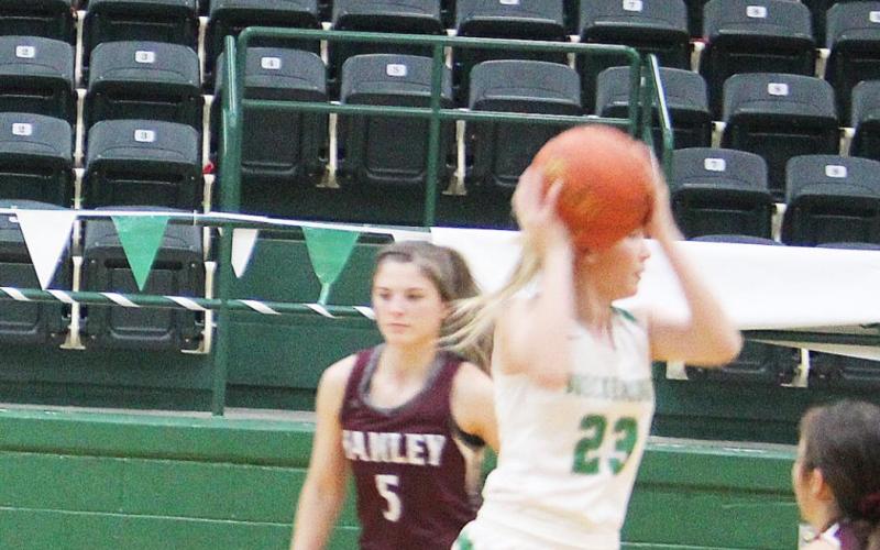 Lady Bucks fall to Hawley, 29-38