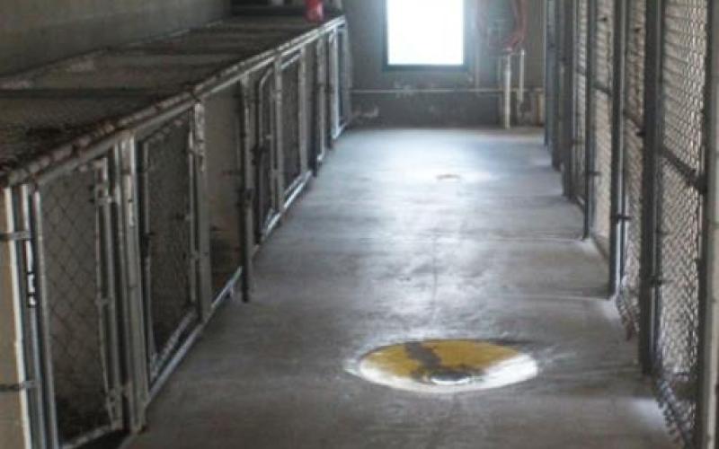Breckenridge Animal Center, employee receive fresh start