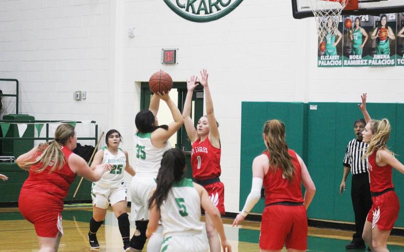 Lady Bucks fourth quarter burst not enough against Holliday