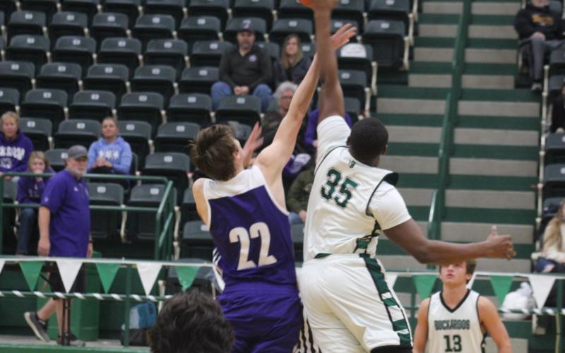 Bucks declaw Tigers 50-41