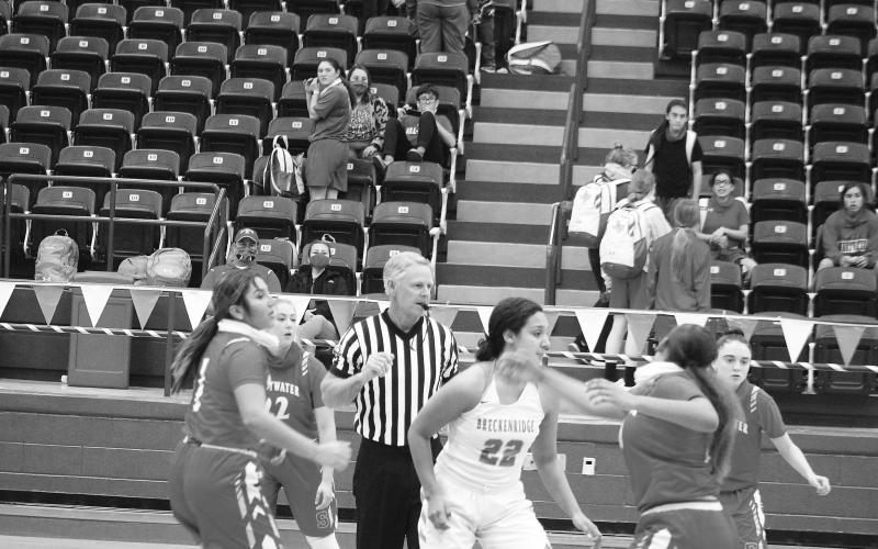 Lady Bucks fall to Sweetwater