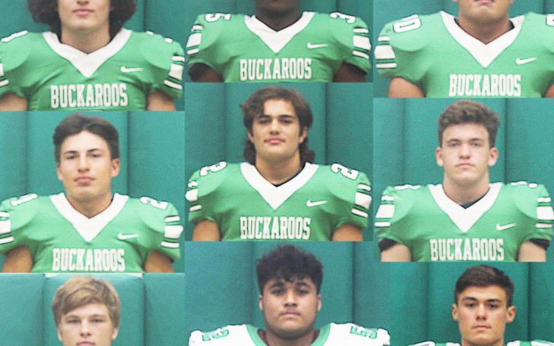 Buckaroos awarded All-District recognition