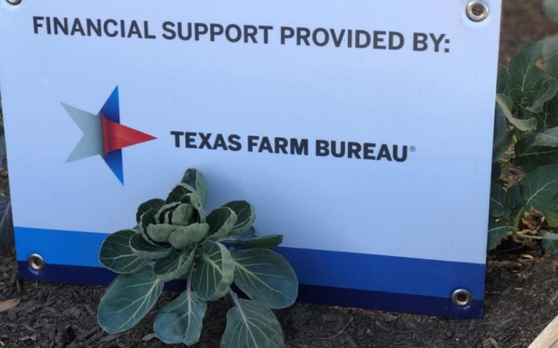 South Elementary receives grant money for gardening