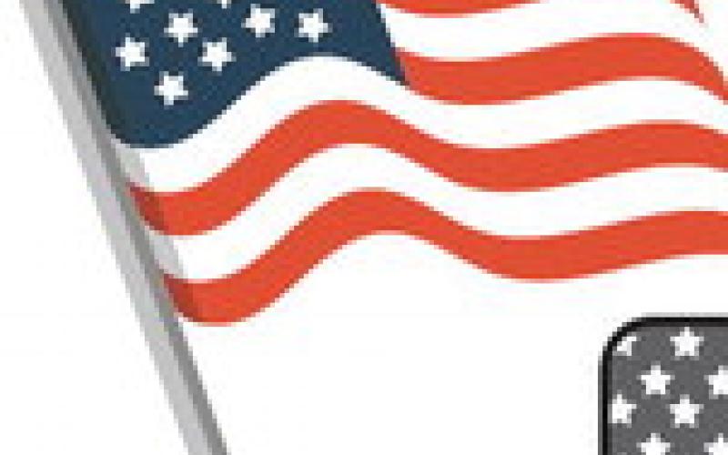 Alt Text for Image