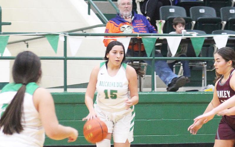 Lady Bucks fall to Hawley, 29-38