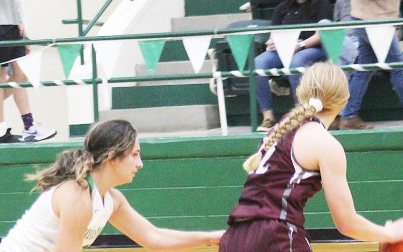 Lady Bucks fall to Hawley, 29-38