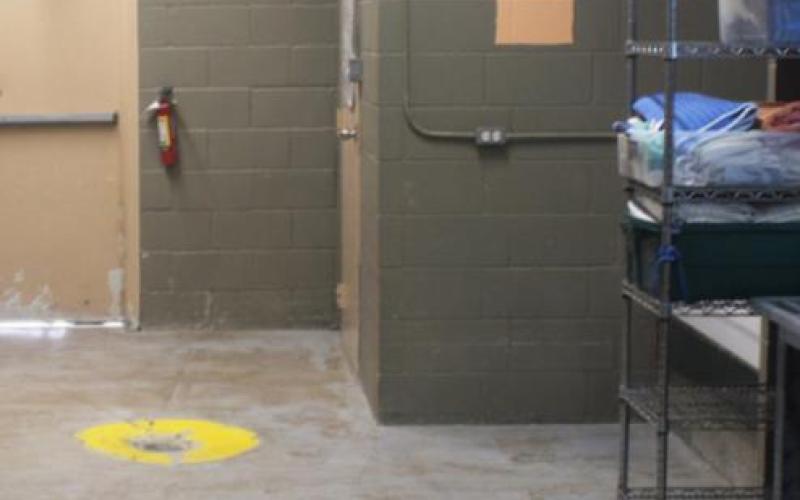 Breckenridge Animal Center, employee receive fresh start