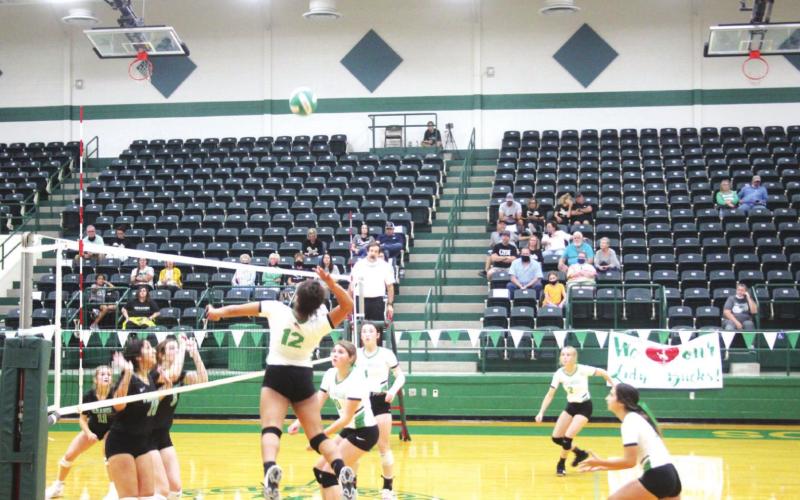 Kylee Willis #12