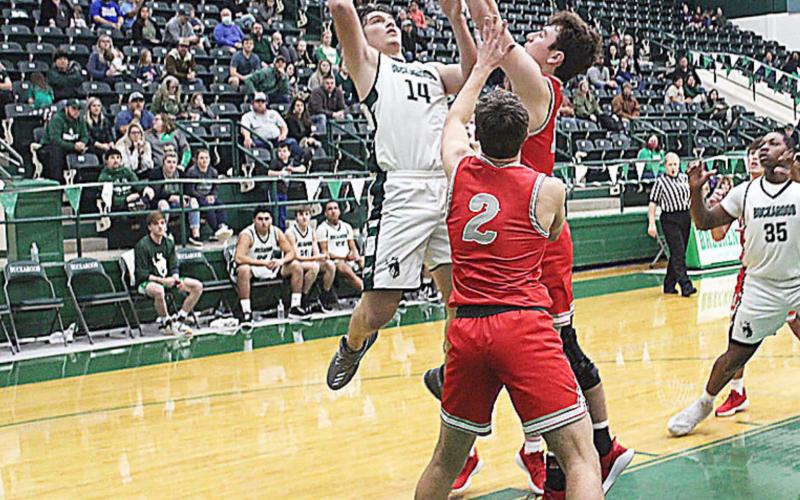 Bucks drop district contest against Eagles, 67-50