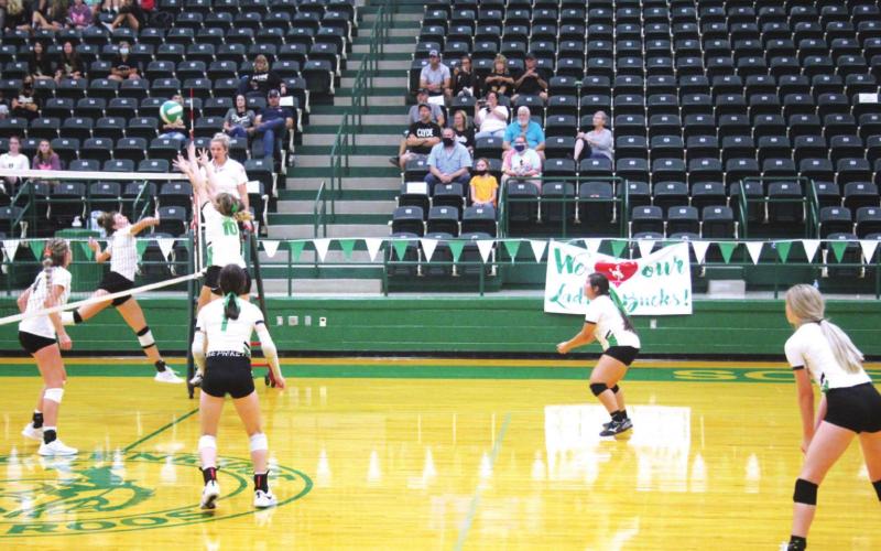 Kerstyn Kelly #10