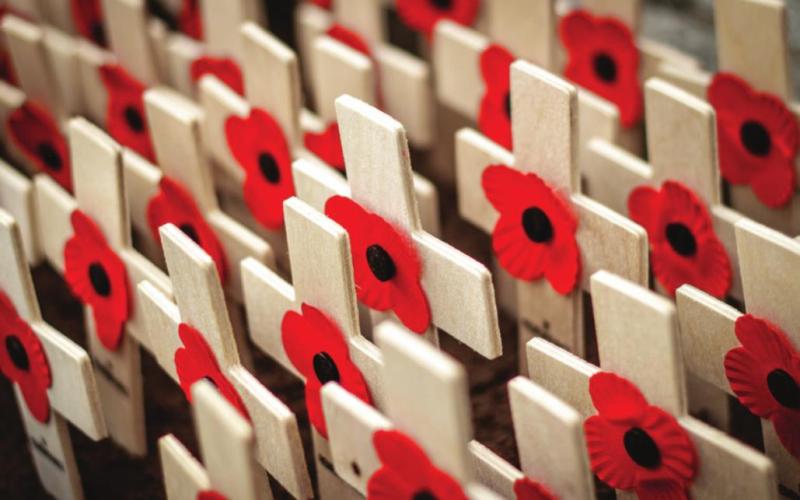The Flower of Remembrance