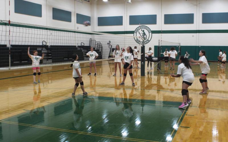 Breckenridge youth enjoy a three-day workout on volleyball fundamentals. Students were provided with training on the sport and knowledge from Breckenridge High School coaches and players. Photo by A.D. Chachere