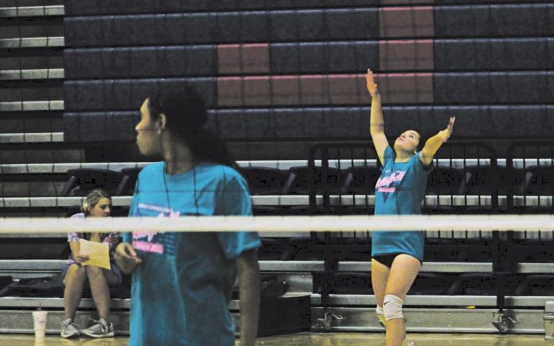 Lady Bucks hit court in summer league volleyball