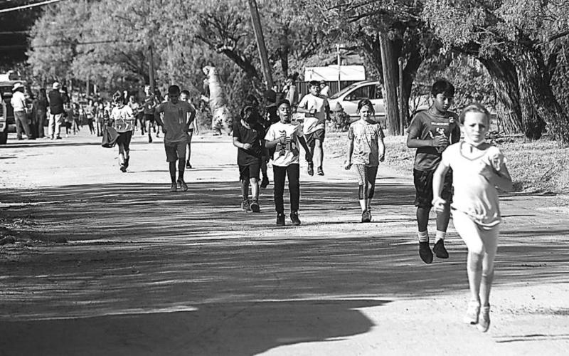 2020 Turkey Trot