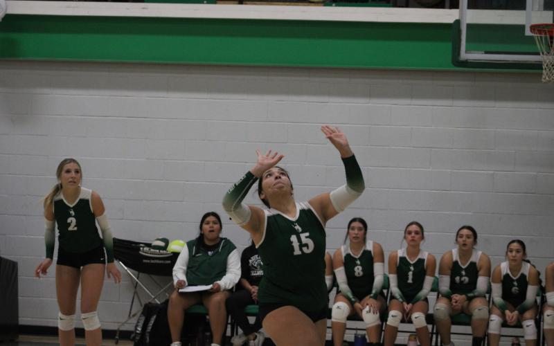 (Photo/Alex Kielar) Analia Palacios earned second team all-district honors for this past volleyball season as a setter.