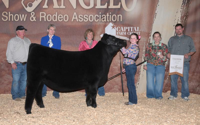 (Contributed Photo) Kinsley Kaylor was named Grand Champion in the Angus division of the Junior Heifer show during the San Angelo Stock Show & Rodeo.