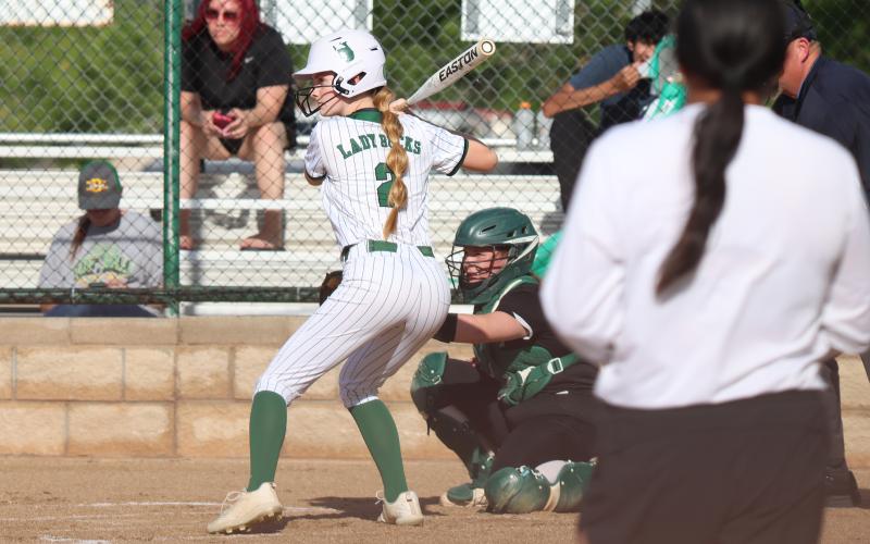 Haylee Stinnett steps up to the plate earlier in the season for the Lady Bucks. Stinnett was honored for her performance inside the classroom and was named Academic All District. (Photo/Thomas Wallner)