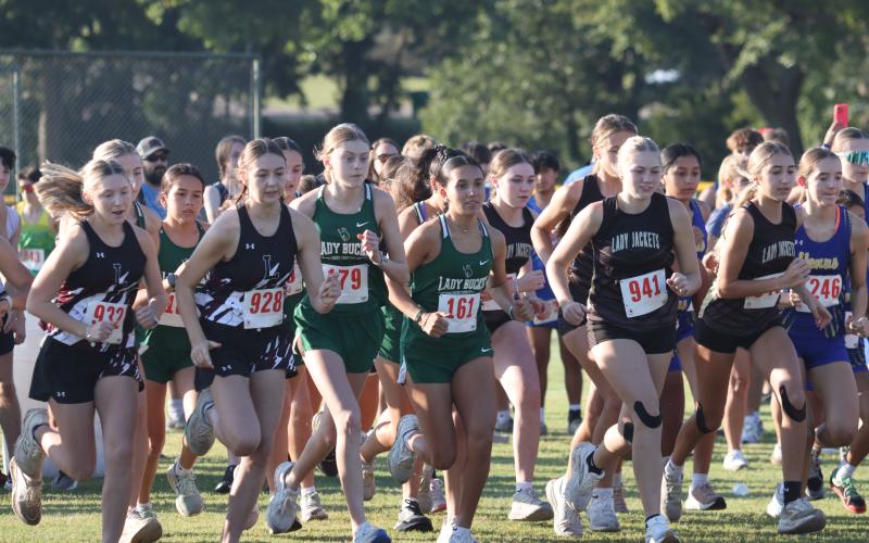 (Contributed Photo) The two Lady Bucks runners in the middle, Sayler Towson (179) and Abbigail Duran (161), earned selections to the THSCA academic all-state teams for cross country. Towson earned an honorable mention while Duran earned a second team nod. 