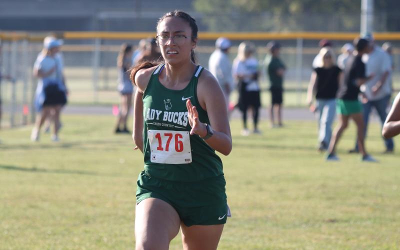 (Photo/Alex Kielar) Lizandra Rubio was one of four Breckenridge Lady Bucks cross country runners to earn spots on the THSCA academic all-state teams announced this week, placing on the second team. 