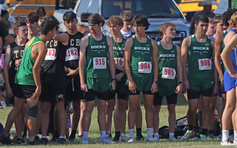 (Photo/Liam Bailey) The Bucks varsity cross country runners get set to start the 3-mile run of the Brownwood Invitational in which five of their runners finished in the top 100 Wednesday, Aug. 27. 