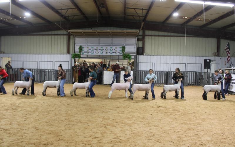 (File Photo) Goats are shown during last year’s Stephens County Junior Livestock Show and Sale. The 68th annual Stephens County Junior Livestock Show and Sale will take place next week at the Stephens County Ag Center, from Thursday, Jan. 8 through Sunday, Jan. 11. 