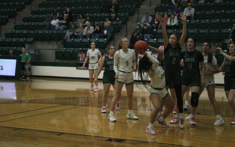 (Photo/Alex Kielar) LaKyla Bartley defends in the paint during the first half of the Lady Bucks’ first district win of the season as they outlasted Dublin, 46-34, on the road Friday, Jan. 9. 