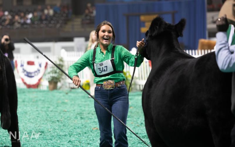 (Contributed Photo/National Junior Angus Association) Breckenridge High School Class of 2025 graduate Kaylee Langford earns top honors at the 2025 North American International Livestock Expo Junior Angus Show, claiming Grand Champion Female with her heifer, UDE Saras Dream 4010.