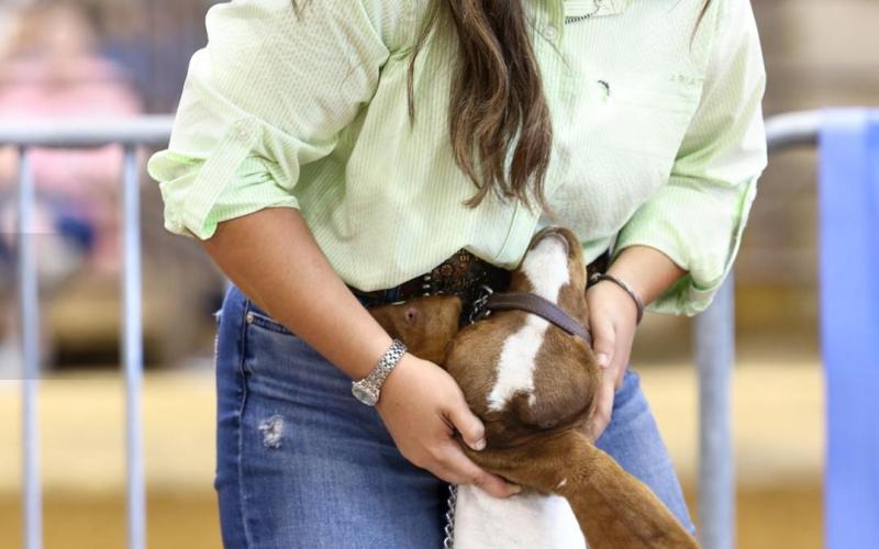 (Contributed Photo) Sylee MItchell participated in the market goat show at the State Fair of Texas and while she ultimately didn’t place, she described a rewarding experience just being able to attend. 