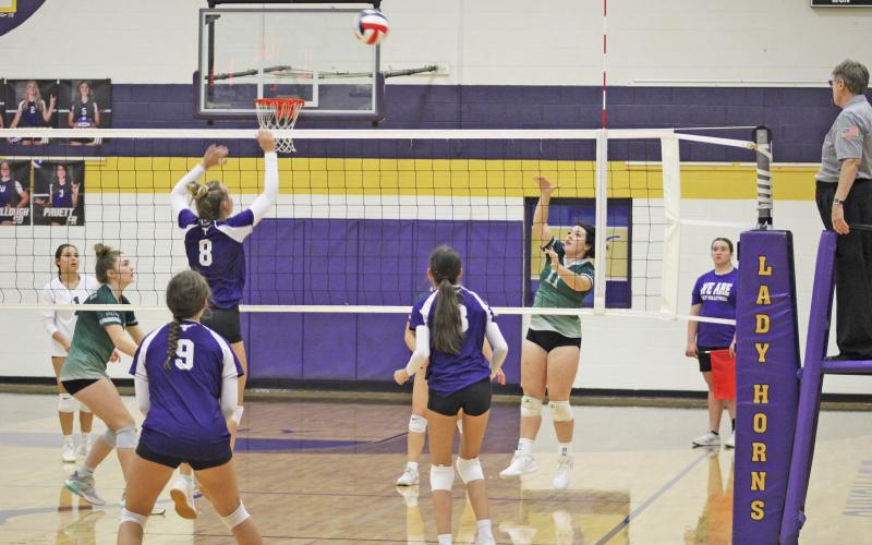 Cabel Perkins earned seven kills and had six digs for the Lady Bucks Tuesday night in their 25-13, 25-21, 25-17 win over the Early Lady Horns. Photo/Mike Williams