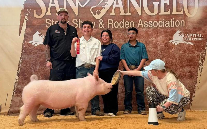 (Contributed Photo/Breckenridge FFA) Tristan Diaz receieved a second place award for York in the Stars Gilt Show and third place York in the breeding gilt show at the San Angelo Stock Show & Rodeo.