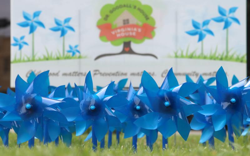 (Photo/Thomas Wallner) Pinwheels that can be purchased from Dr. Goodall’s House that will be displayed through April for Child Abuse Prevention Month.  
