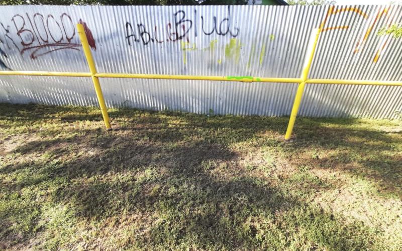 Breckenridge Police Department are looking for a group of four individuals suspected of vandalizing property in the area of West Jeanette St. and North Parks St. Thursday morning. Contributed photo/Breckenridge Police Department