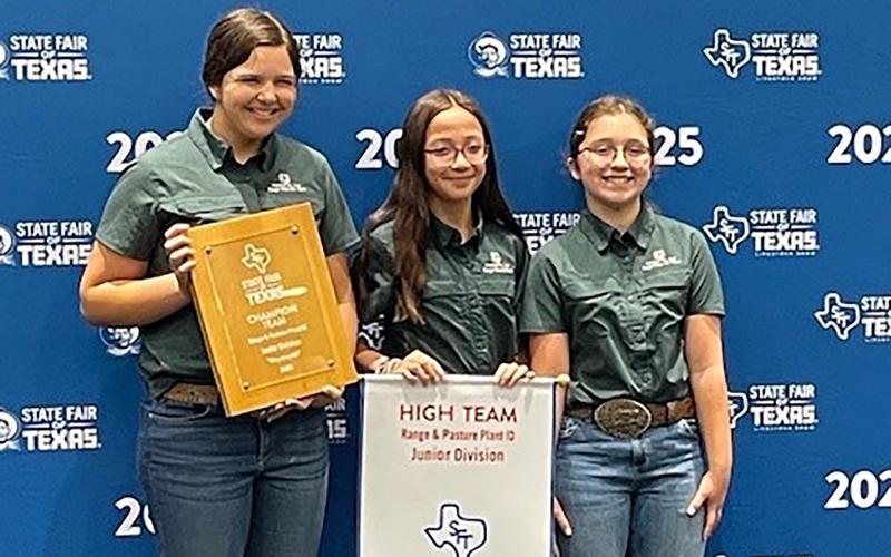 (Contributed Photo) The Stephens County 4-H junior plant identification team of Evelyn Halari, Lydia Moreno and Marielle Green was the champion junior team for the plant ID contest at the State Fair of Texas. 