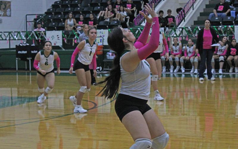 (Photo/Alex Kielar) Senior Bianca Gotcshall got some playing time for the Lady Bucks’ Senior Night game Friday, Oct. 17, which they won in straight sets against the Dublin Lady Lions. 