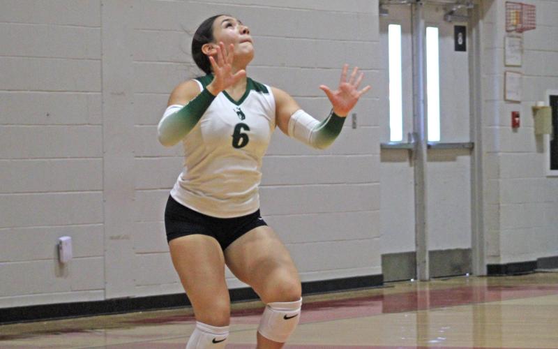 (Photo/Alex Kielar) Sofia Lopez gets set to serve during the Lady Bucks’ match against Jim Ned JV in their second matchup of pool play in the Albany Tournament Thursday, Aug. 28. 