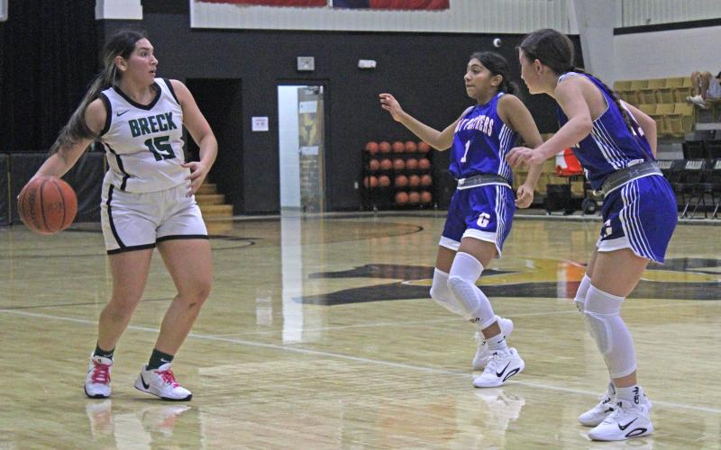 (File Photo/Alex Kielar)  Analia Palacios scored a three-pointer and a putback layup for the Lady Bucks in their loss to Mineral Wells on the road Friday, Nov. 21. 