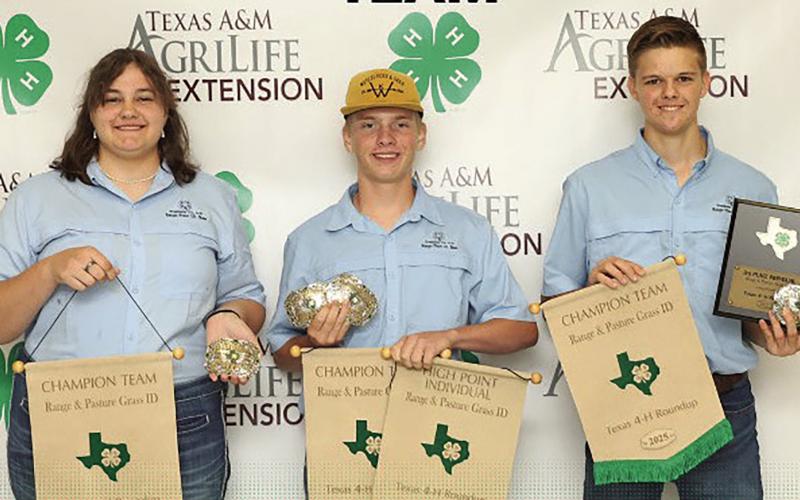(Contributed Photo) The Stephens County 4-H plant identification team of Chloe Tait, Kason Burchett and Josiah Moreno will be competing in the plant ID contest taking place Saturday, Sept. 27 at the State Fair of Texas. The team is coming off a win at the 4-H State Roundup this summer. 