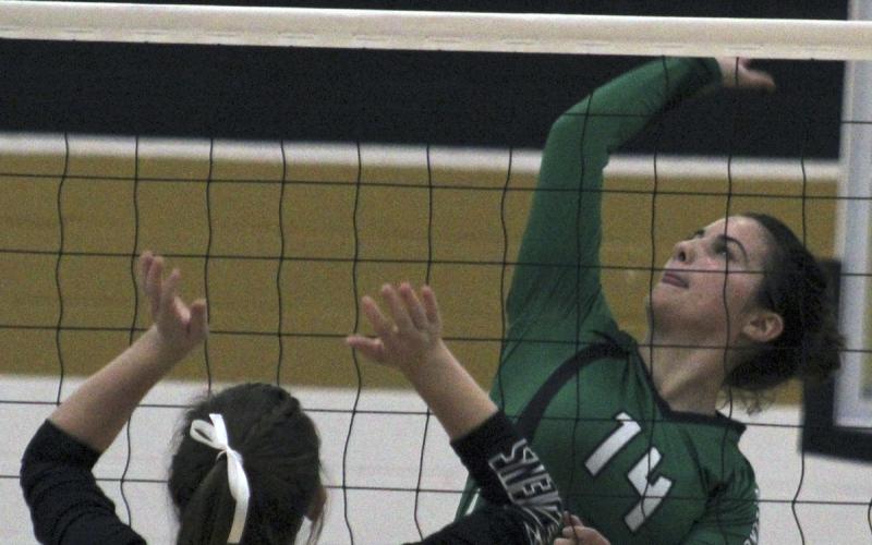 Breckenridge senior middle blocker Makenna Moser pulls back to spike the ball during a game against Comanche.