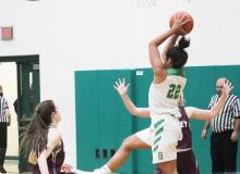 Lady Bucks fall to Hawley, 29-38