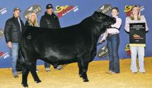 Kadynce Kennedy poses with her champion steer Thursday, Feb. 20 following the Junior Market Steer Show at the San Antonio Stock Show. Contributed photo