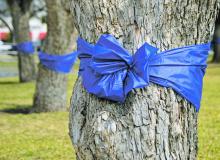 Blue ribbons tied around trees in honor of National Child Abuse Prevention Month. Dr. Goodall’s House, in Stephens County, and Virginia’s House, in Young County, play an important role in the communities to meet the needs of abused neglected and traumatized children. File photo