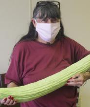Stephens County resident grows nine pound Armenian cucumber