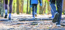Texas A&amp;M Agrilife Extension is promoting physical activity through its eight-week Walk Across Texas campaign. Archive photo