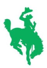 Lady Buckaroos earn all-district softball honors