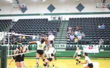 Kylee Willis #12