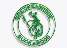Breckenridge Girls Varsity Track takes second at Holliday