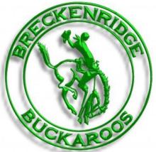 Bucks lose to Jim Ned Indians