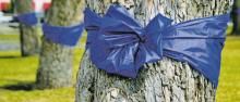 Blue ribbons tied around trees in honor of National Child Abuse Prevention Month. Dr. Goodall’s House, in Stephens County, and Virginia’s House, in Young County, play an important role to meet the needs of abused children. Archive photo