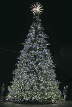 Mingle & Jingle